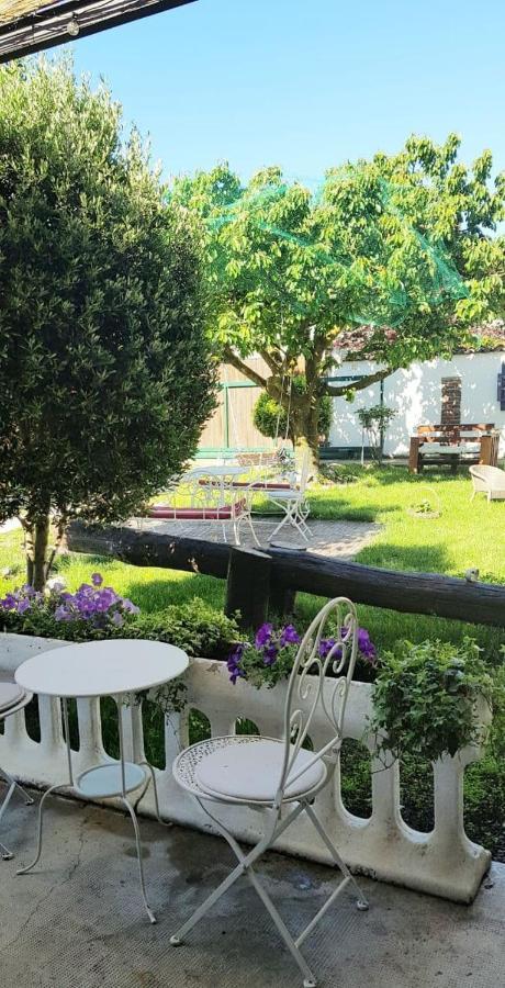 Il Segreto Di Shabel Bed & Breakfast Settimo Torinese Exterior photo